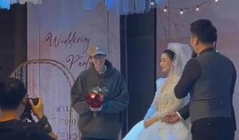 谢娜爆料郑凯结婚视频,甜蜜婚礼视频引网友热议